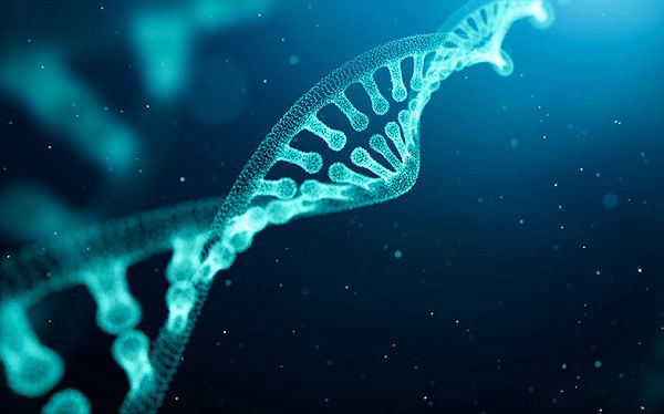 dna